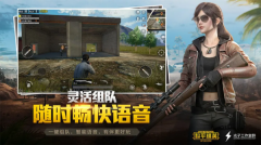 和平精英先锋服截图4
