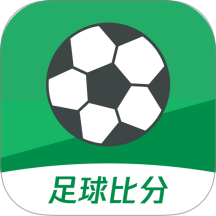 球掌柜
