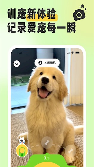 尾巴纪元安卓版截图3
