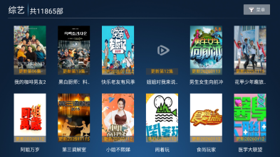 飞鹰TV电视截图1
